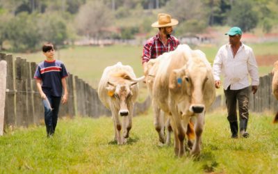 Agritourism: A Strategic Pathway for Development in Central America and the Caribbean